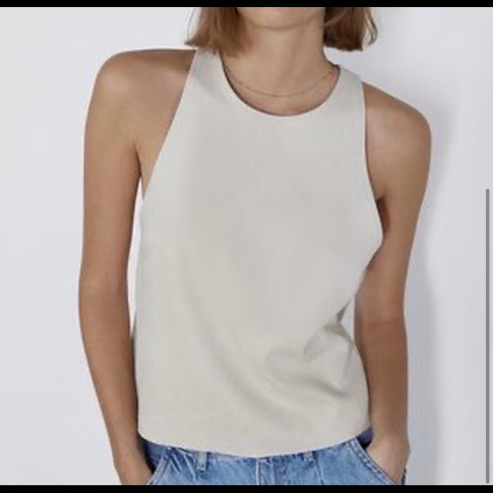 Zara Tan Suede Top
